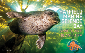 A seal floats in the foreground with kelp waving in the background. White text reads: Hatfield Marine Science Day April 11, 2026 10am-4pm.